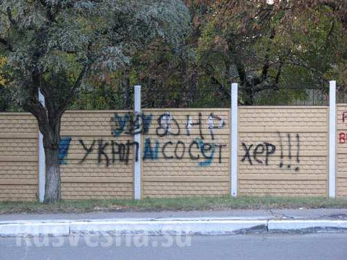 Сводки от ополчения Новороссии 25.10.2015 Сводки от ополчения Новороссии 25.10.2015