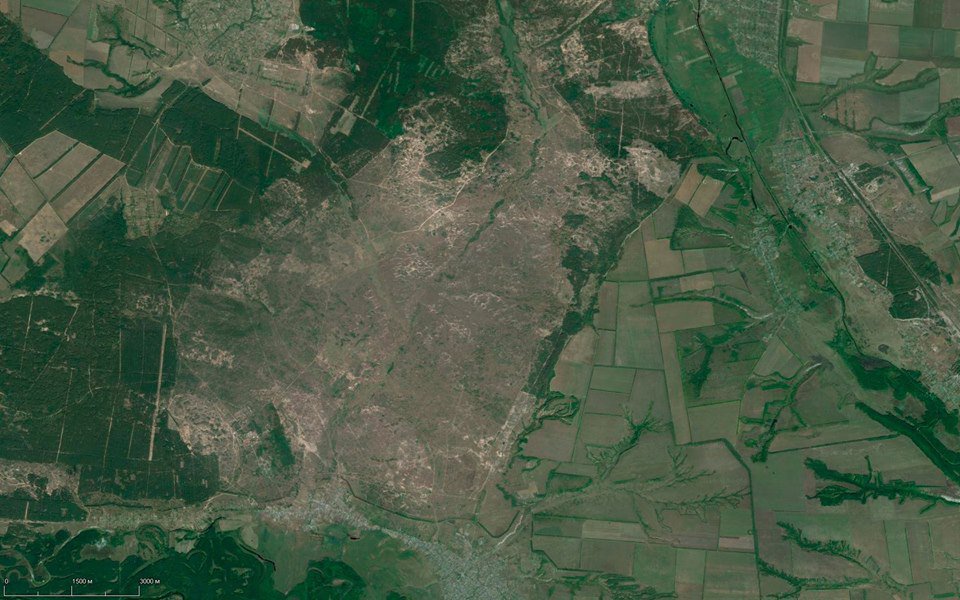 На украинском Донбассе идет массовая хищническая вырубка лесов — снимки со спутника На украинском Донбассе идет массовая хищническая вырубка лесов — снимки со спутника