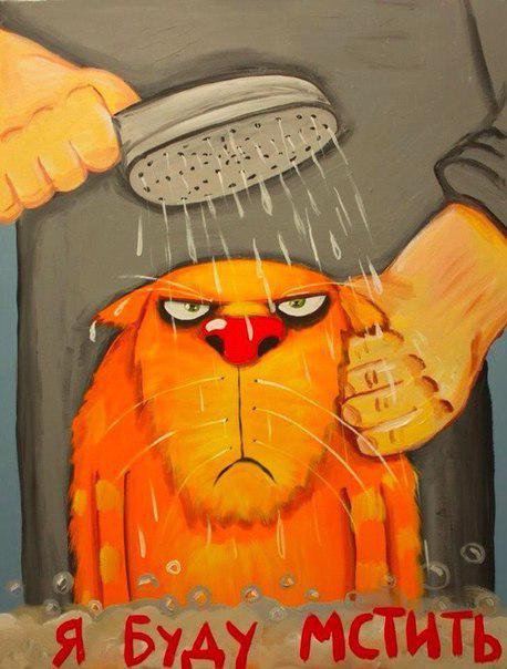 Блог Кота Моти. Вралноваха и Боинг. Блог Кота Моти. Вралноваха и Боинг.