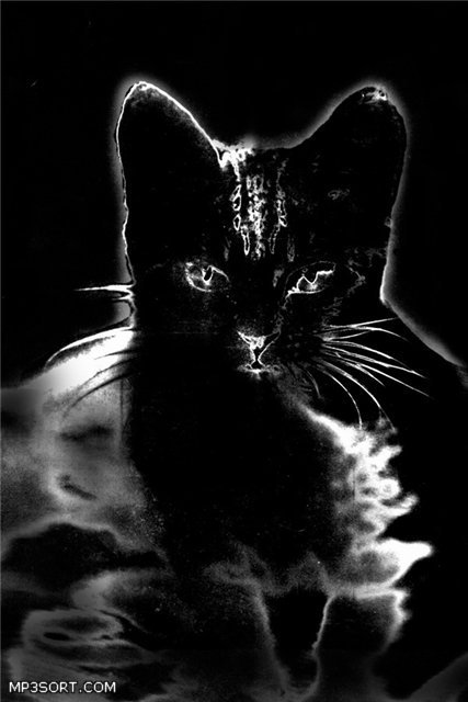 Блог Кота Моти. Будь героем - предай! Блог Кота Моти. Будь героем - предай!