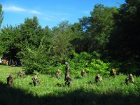 Сводки от ополчения Новороссии 12.10.2015
