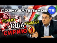 Почему США убивают Сирию 1