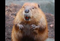 Голод в Москве