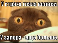 У страха глаза велики: Турки опубликовали фото сбитого "неопознанного самолёта"