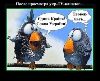 Новости дна