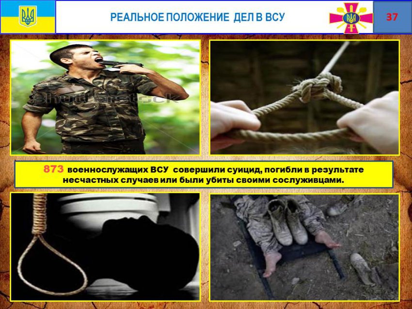 Минобороны ДНР представило отчет о потерях ВСУ на Донбассе и коррупции украинских командиров Минобороны ДНР представило отчет о потерях ВСУ на Донбассе и коррупции украинских командиров