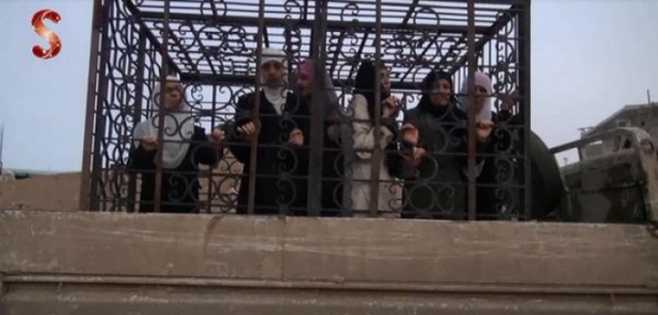 Умеренные клетки умеренной оппозиции Умеренные клетки умеренной оппозиции