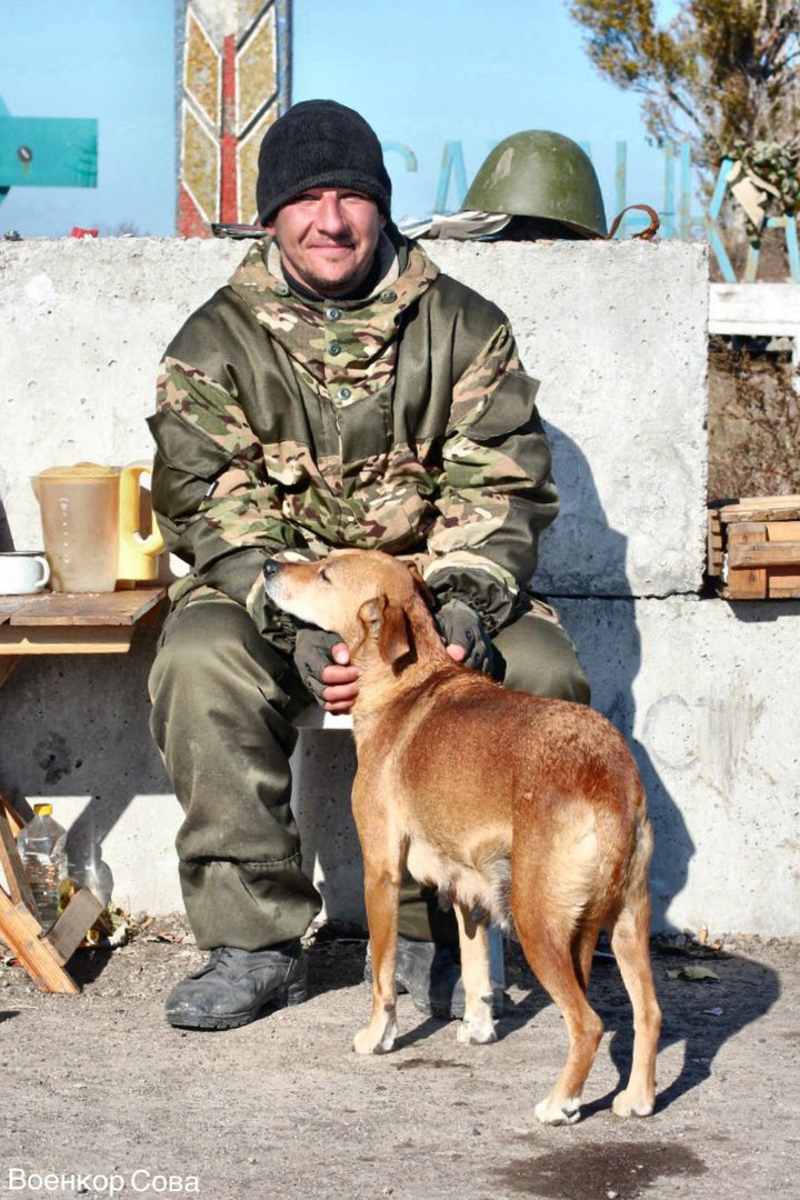 Сводки от ополчения Новороссии 3.11.2015 Сводки от ополчения Новороссии 3.11.2015