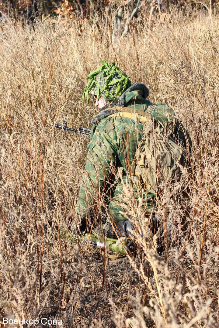 Сводки от ополчения Новороссии 3.11.2015 Сводки от ополчения Новороссии 3.11.2015