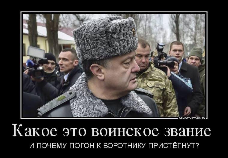 "Мыздобулы" в картинках. Смешных и не очень... 3-11-2015 "Мыздобулы" в картинках. Смешных и не очень... 3-11-2015