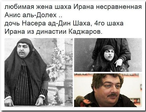 "Мыздобулы" в картинках. Смешных и не очень... 3-11-2015 "Мыздобулы" в картинках. Смешных и не очень... 3-11-2015