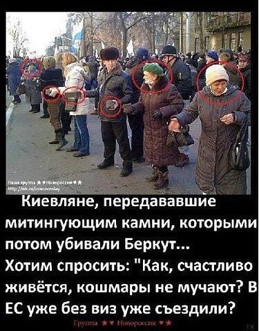 "Мыздобулы" в картинках. Смешных и не очень... 3-11-2015 "Мыздобулы" в картинках. Смешных и не очень... 3-11-2015