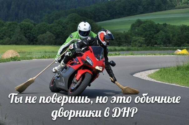 "Мыздобулы" в картинках. Смешных и не очень... 3-11-2015 "Мыздобулы" в картинках. Смешных и не очень... 3-11-2015