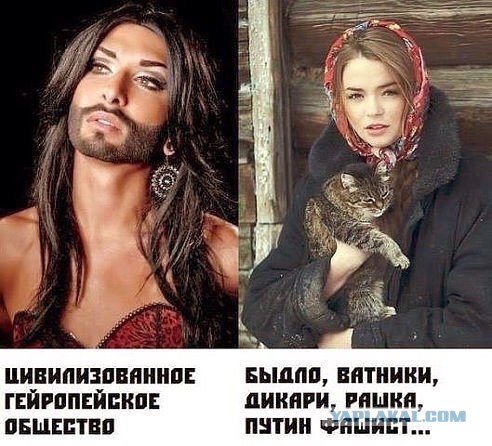 "Мыздобулы" в картинках. Смешных и не очень... 3-11-2015 "Мыздобулы" в картинках. Смешных и не очень... 3-11-2015