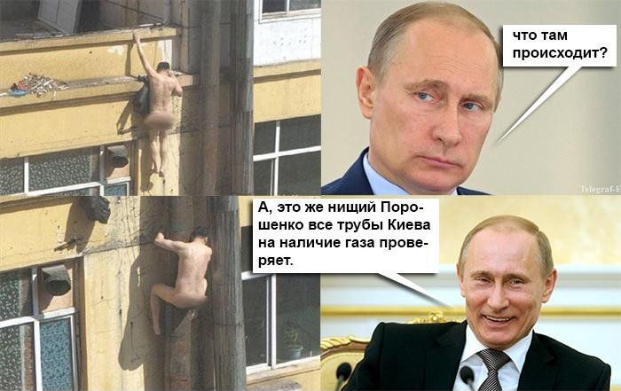 "Мыздобулы" в картинках. Смешных и не очень... 3-11-2015 "Мыздобулы" в картинках. Смешных и не очень... 3-11-2015