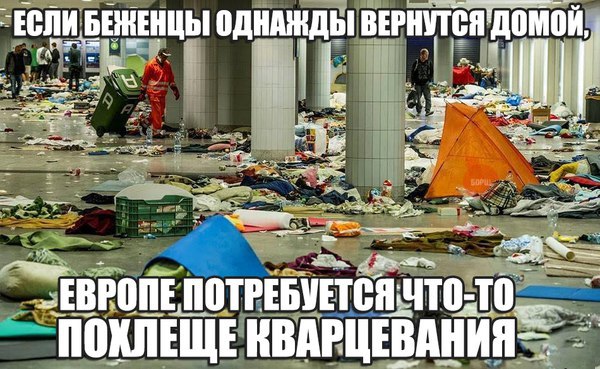 "Мыздобулы" в картинках. Смешных и не очень... 3-11-2015 "Мыздобулы" в картинках. Смешных и не очень... 3-11-2015