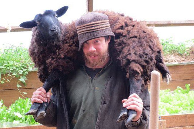 Звездные иммигранты видят в России то, что игнорируют местные Звездные иммигранты видят в России то, что игнорируют местные