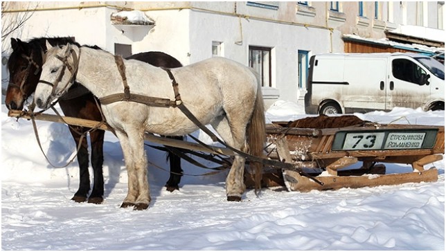 Как Пентагон разоблачил западную пропаганду. Юрий Селиванов