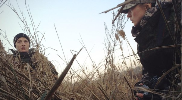 Сводки от ополчения Новороссии 6.11.2015 Сводки от ополчения Новороссии 6.11.2015