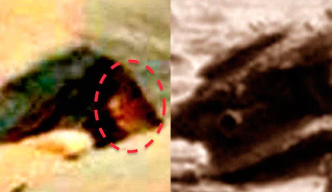 На Марсе нашли любопытного рептилоида и сбитый дрон На Марсе нашли любопытного рептилоида и сбитый дрон