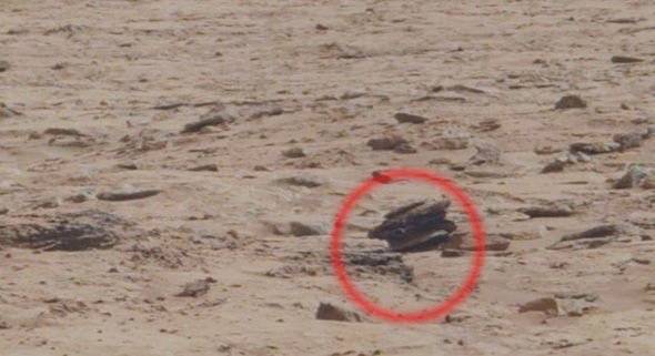 На Марсе нашли любопытного рептилоида и сбитый дрон На Марсе нашли любопытного рептилоида и сбитый дрон