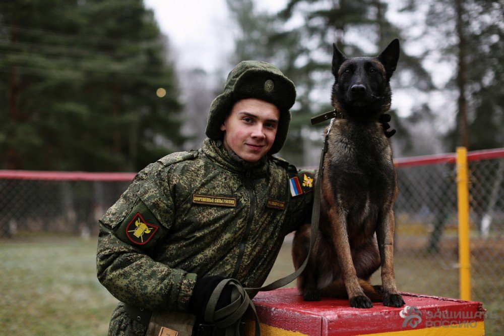 Хвостатый призыв: как солдаты учат собак Хвостатый призыв: как солдаты учат собак