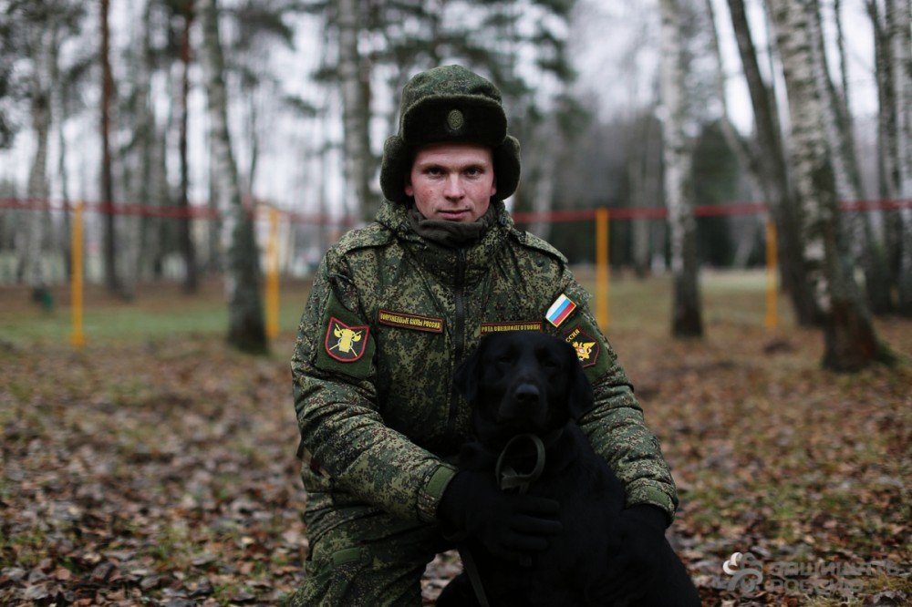 Хвостатый призыв: как солдаты учат собак Хвостатый призыв: как солдаты учат собак