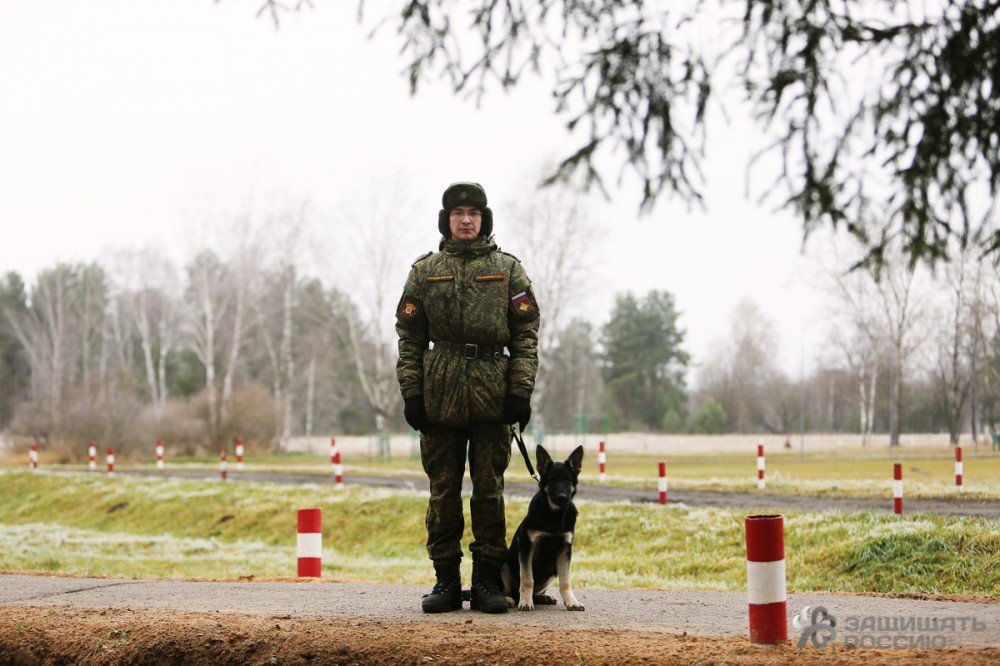 Хвостатый призыв: как солдаты учат собак Хвостатый призыв: как солдаты учат собак