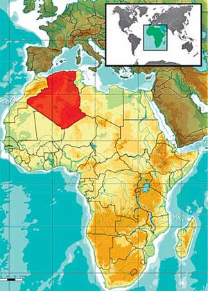 Алжиру не до жиру. Евгений Сатановский