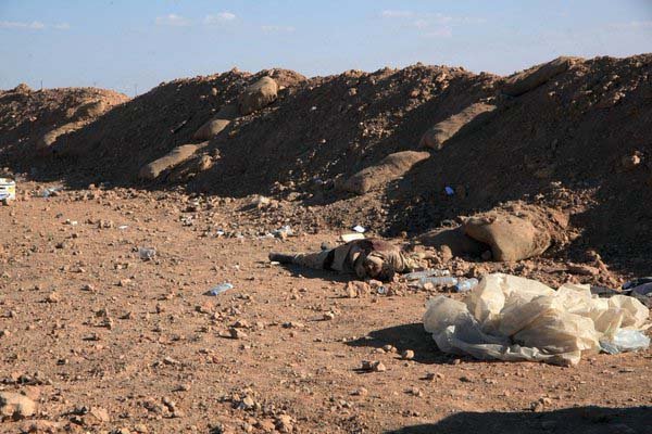 Победа под Кувейрисом Победа под Кувейрисом