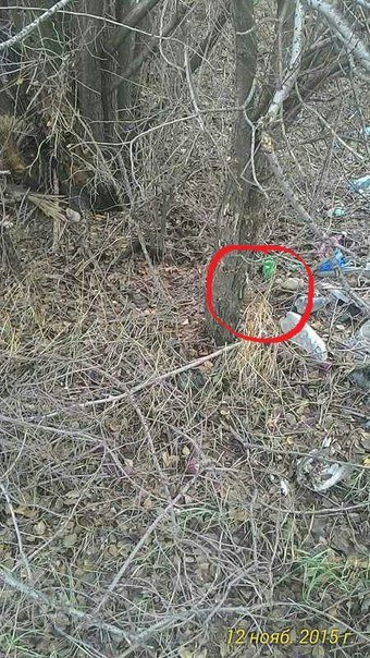 Сводки от ополчения Новороссии 14.11.2015 Сводки от ополчения Новороссии 14.11.2015