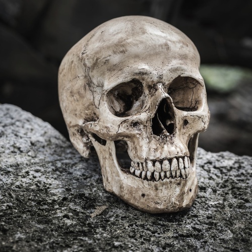 События в Европе: глупость одних - и лицемерие других... События в Европе: глупость одних - и лицемерие других...