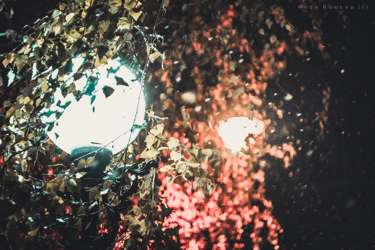 Сводки от ополчения Новороссии 16.11.2015 Сводки от ополчения Новороссии 16.11.2015