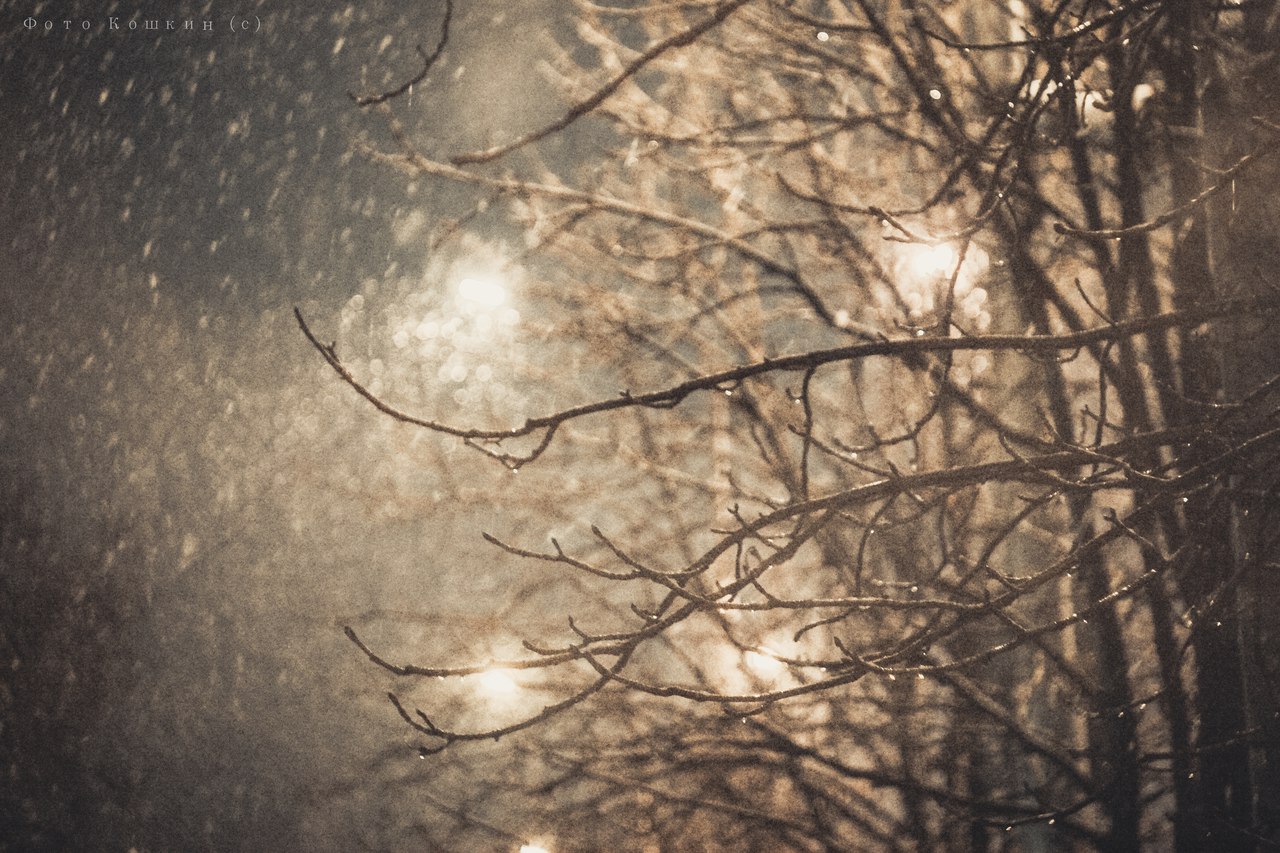 Сводки от ополчения Новороссии 16.11.2015 Сводки от ополчения Новороссии 16.11.2015