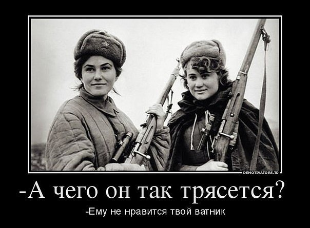 Весёлые картинки 17.11.2015г.