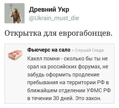 Весёлые картинки 17.11.2015г.