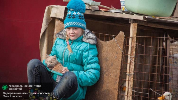 Сводки от ополчения Новороссии 17.11.2015