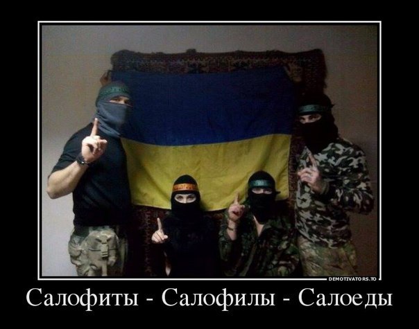 "Мыздобулы" в картинках. Смешных и не очень... 18-11-2015