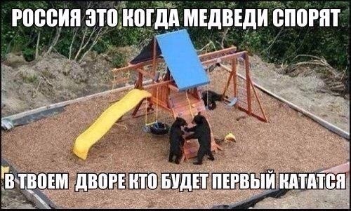"Мыздобулы" в картинках. Смешных и не очень... 18-11-2015