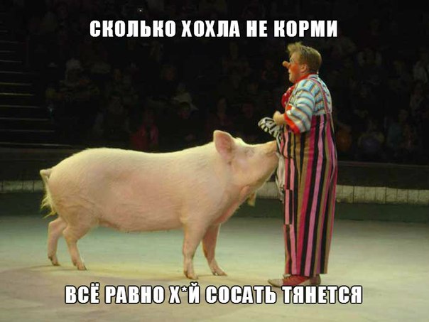 "Мыздобулы" в картинках. Смешных и не очень... 18-11-2015