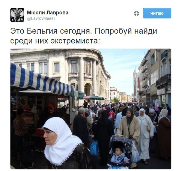 "Мыздобулы" в картинках. Смешных и не очень... 18-11-2015