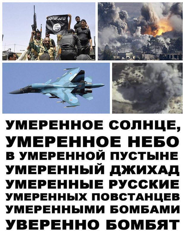 "Мыздобулы" в картинках. Смешных и не очень... 18-11-2015