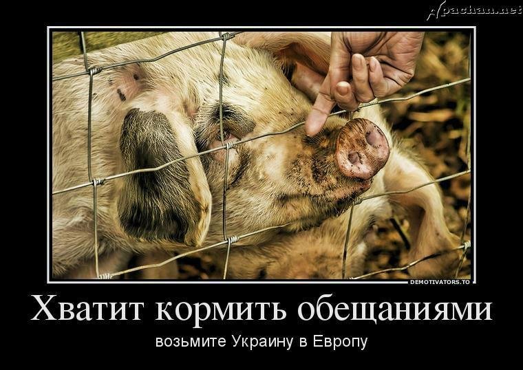 "Мыздобулы" в картинках. Смешных и не очень... 18-11-2015