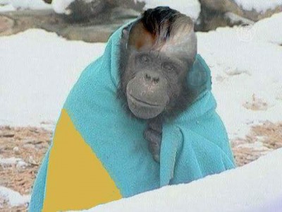 Украинский писатель: 90% граждан Украины – ворье Украинский писатель: 90% граждан Украины – ворье