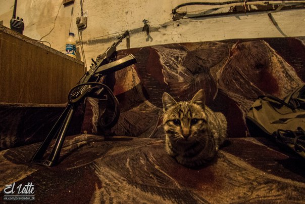 Сводки от ополчения Новороссии 21.11.2015 Сводки от ополчения Новороссии 21.11.2015