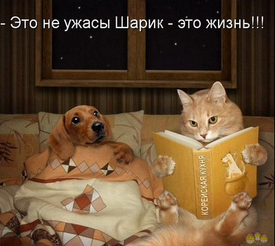 А праздничек в лучших традициях !