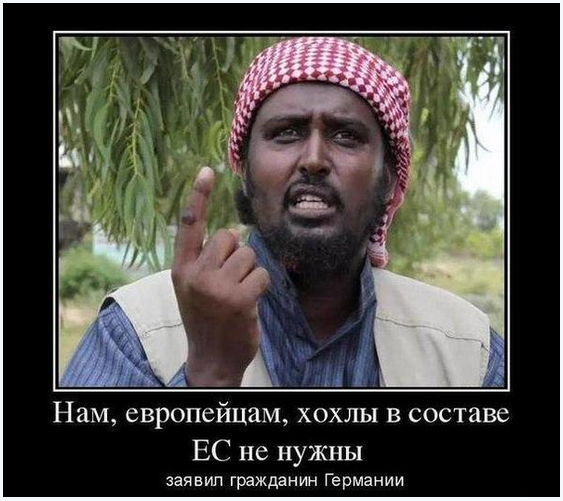 На манеже всё те же - подборка картинок (13) На манеже всё те же - подборка картинок (13)