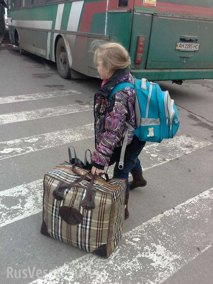 Сводки от ополчения Новороссии 23.11.2015 Сводки от ополчения Новороссии 23.11.2015