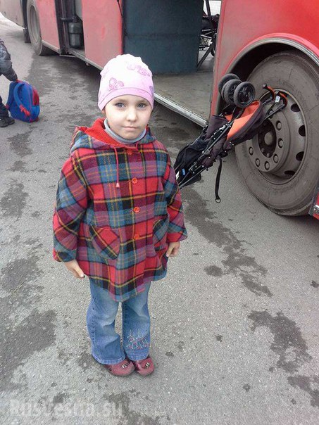 Сводки от ополчения Новороссии 23.11.2015 Сводки от ополчения Новороссии 23.11.2015