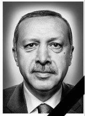 Эрдоган попал в капкан. Александр Роджерс Эрдоган попал в капкан. Александр Роджерс